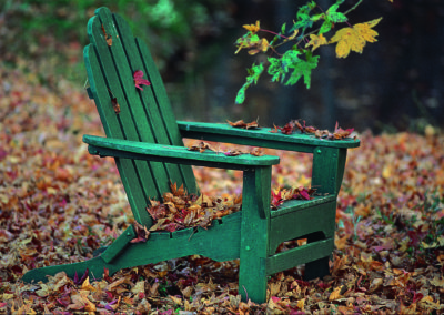 Chair_in_Fall_Leaves_107_1